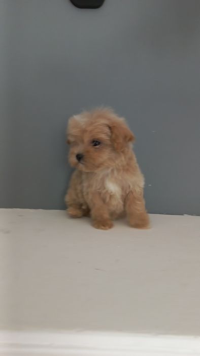 Не можливо не закохатись