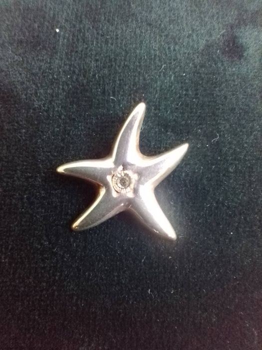 Srebrna zawieszka rozgwiazda