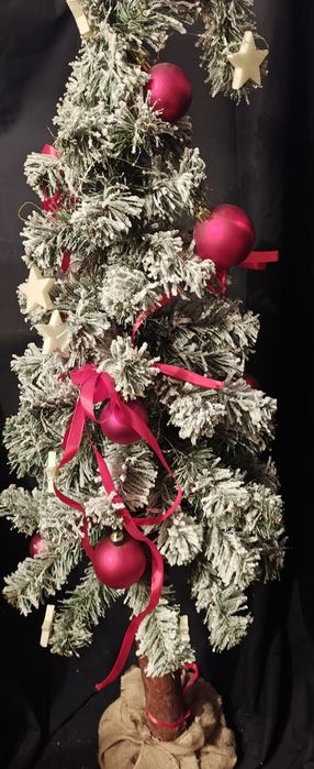 Choinka na pniu  120