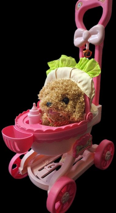 Собачка в колясці