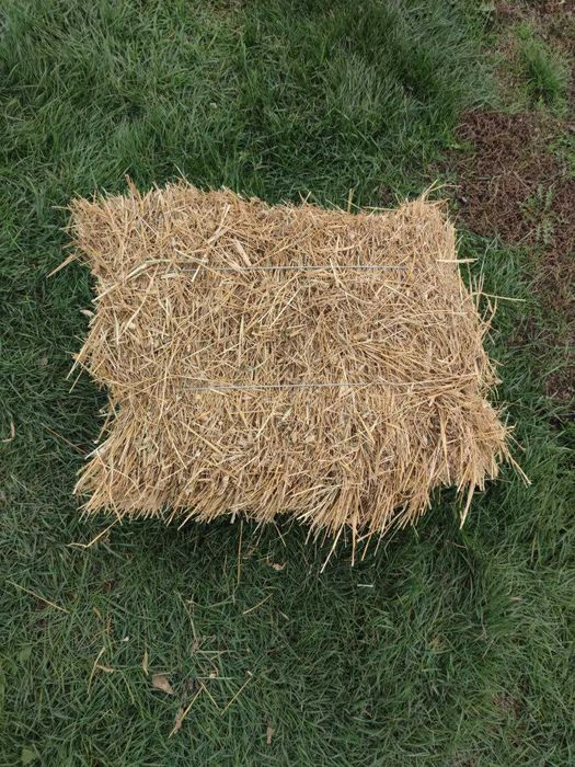 Сіно в тюках (лугове, канареечник (двукисточник))