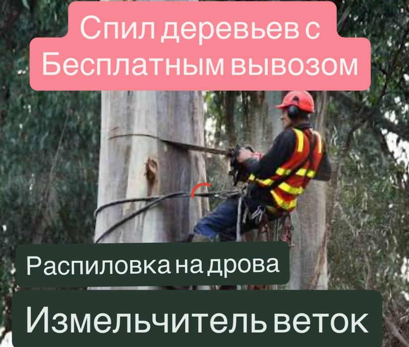 Спил деревьев Бесплатный вывоз