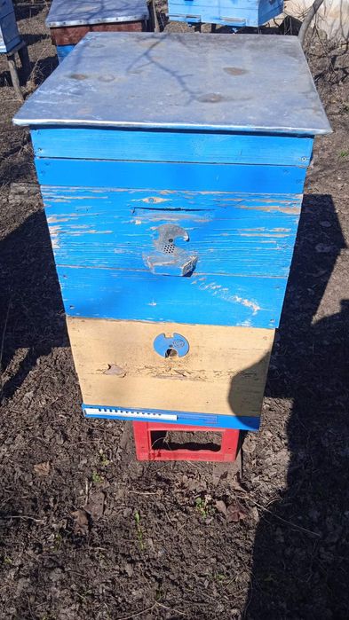 Продаю свої вулики