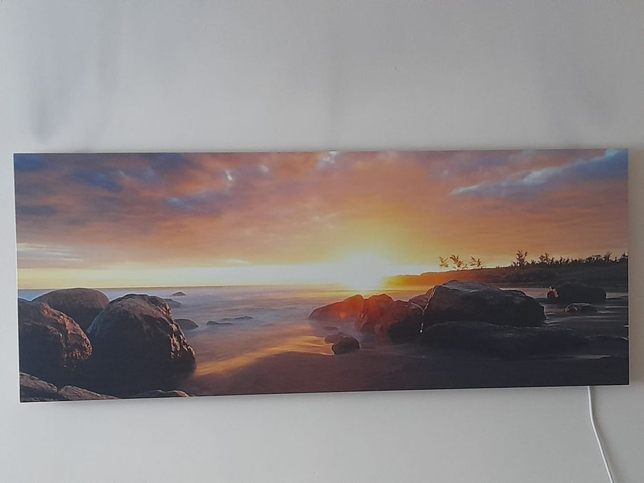 Panel grzewczy CO1000