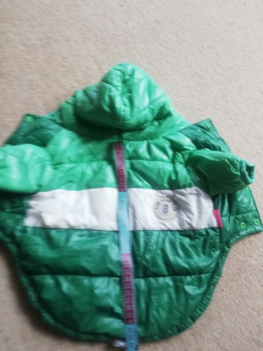 Nowe ubranko, kurteczka dla psa.