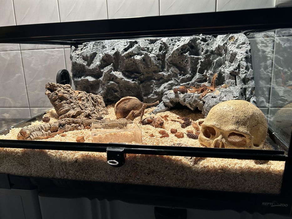 Sprzedam terrarium Repti-Zoo w komplecie ze ścianką