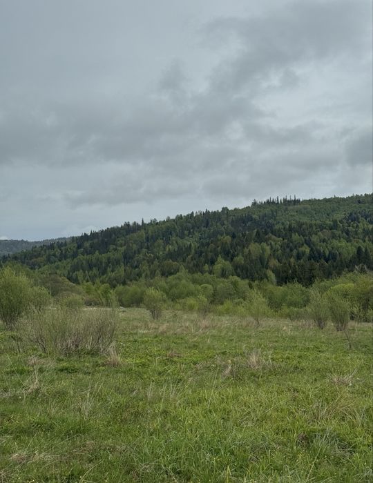 Продається земельна ділянка с. Мита