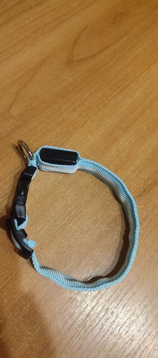 Ошейник для собак