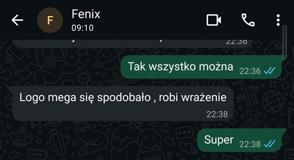 Strona internetowa w 2 dni