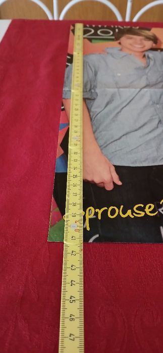 Poster Sprouse Twins