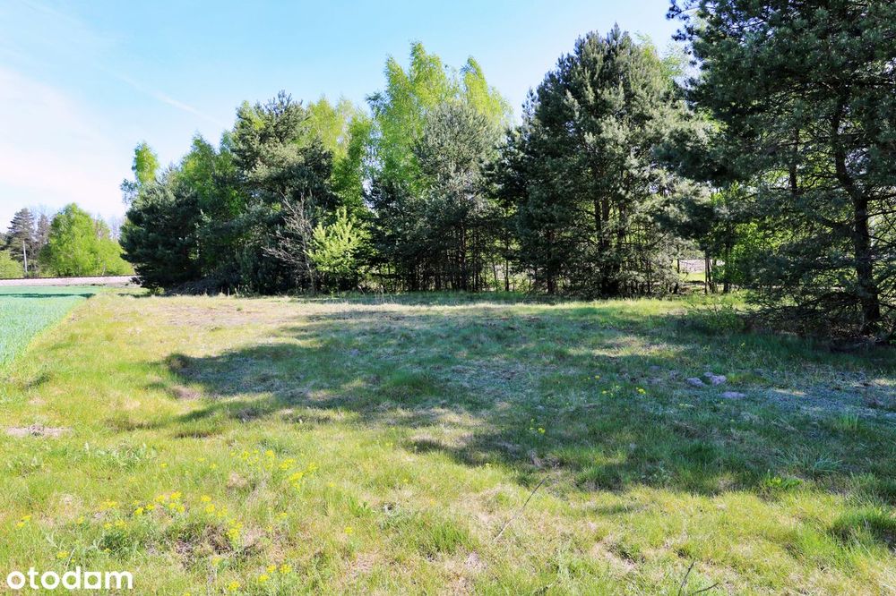 Działka pod usługi z funkcją mieszkalną – 2943 m2 – Rudziczka