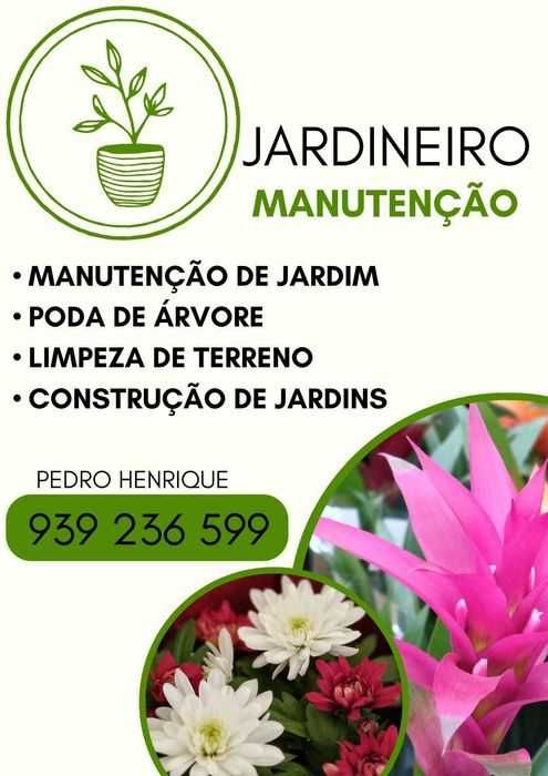 Jardineiro Profissional no Porto