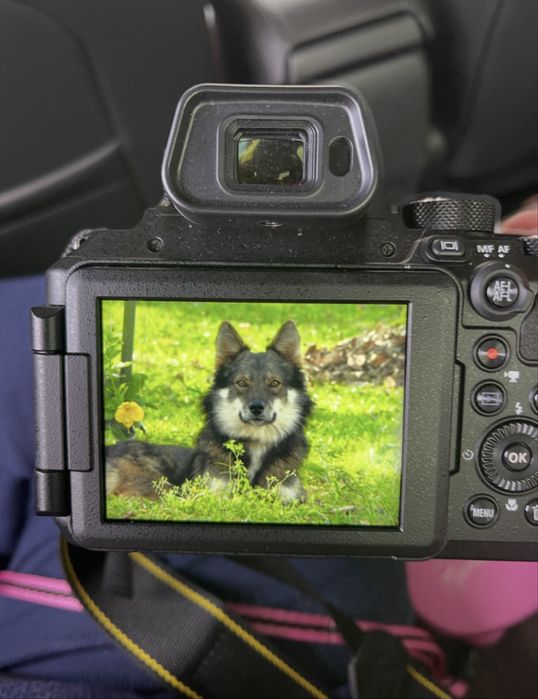 Nikon Coolpix P950 – Como Nova | Garantia Ativa | Caixa Completa