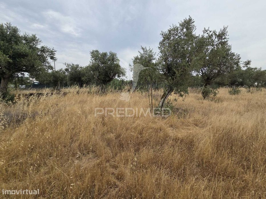 Lote de Terreno