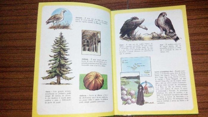 enciclopédia infantil ilustrada