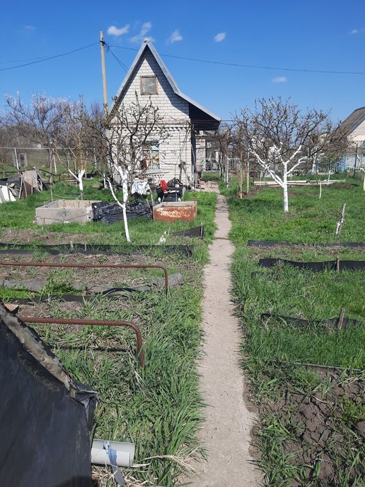 Дача,даманский, придорожное