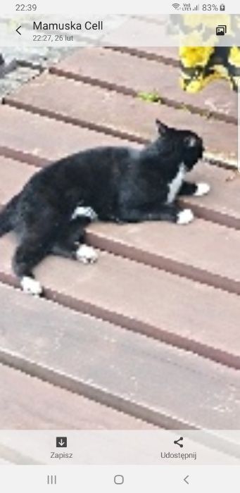 Odnalazła się po 4 lat i 6 miesiącach