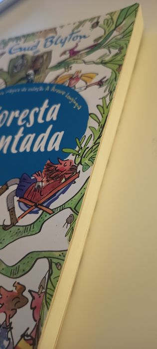 Livro "A Floresta Encantada", de Enid Blyton