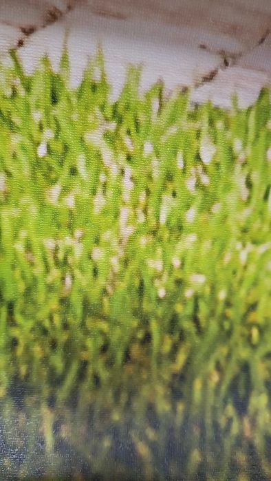 Фотошпалери "Ферарі" (б/у)