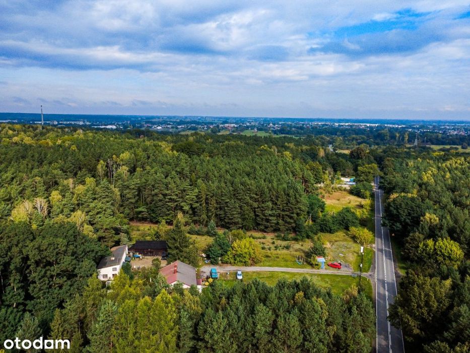 Działka 1896 m² przy lesie we Florentynowie - Widok 4