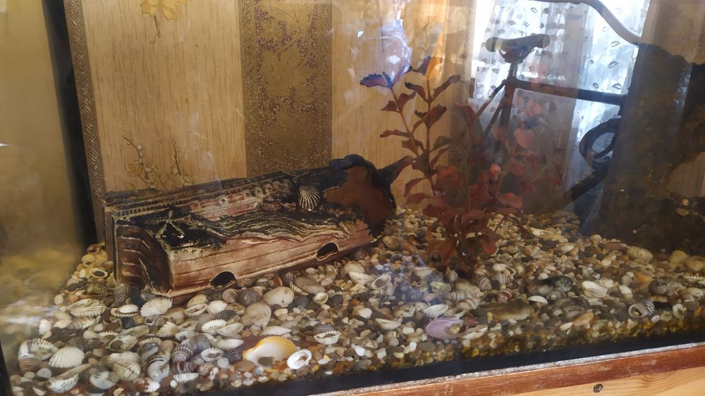 Аквариум 140 литров