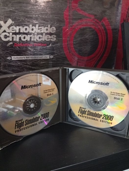 Flight simulator 2000 professional edition