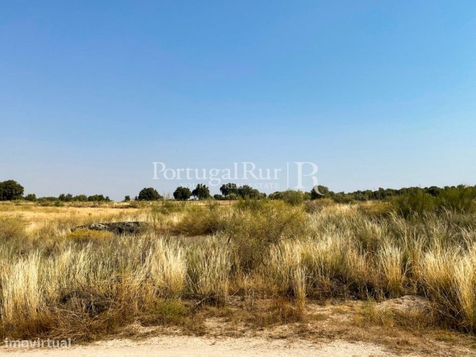 Terreno rústico com 9.750 m² em Monsanto