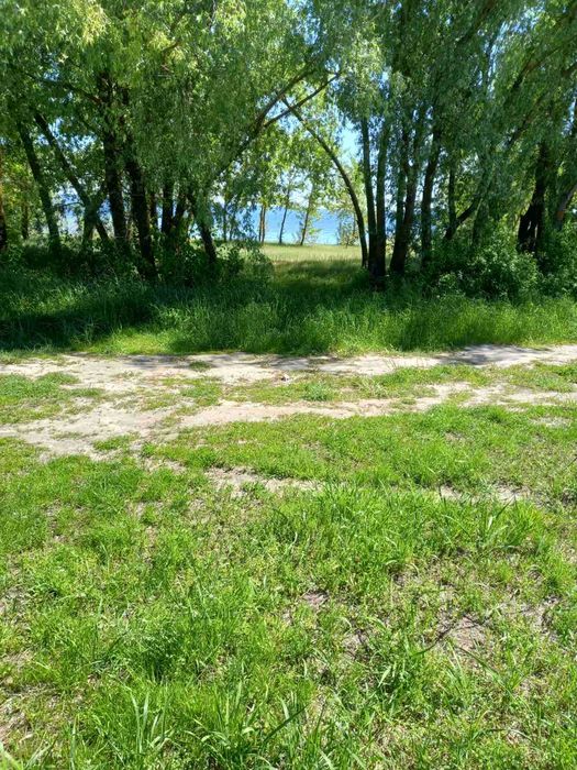 Вихід до води, Глібівка, 8.5 соток, ОСГ.  Супермісце!