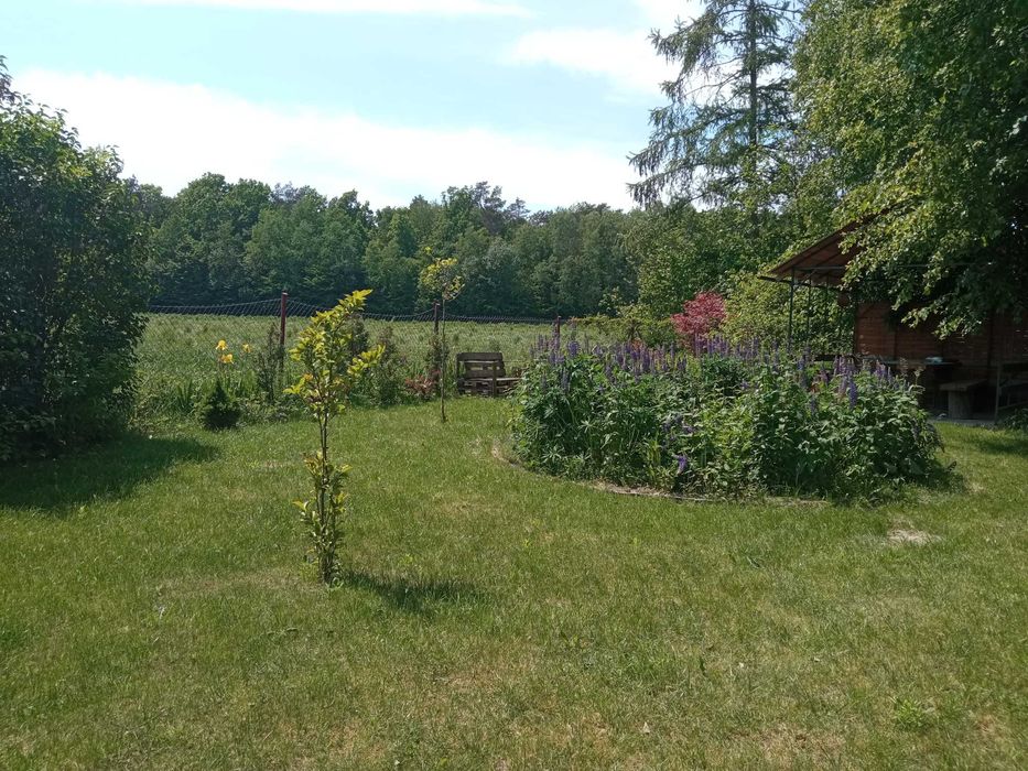 Piękna działka siedliskowa