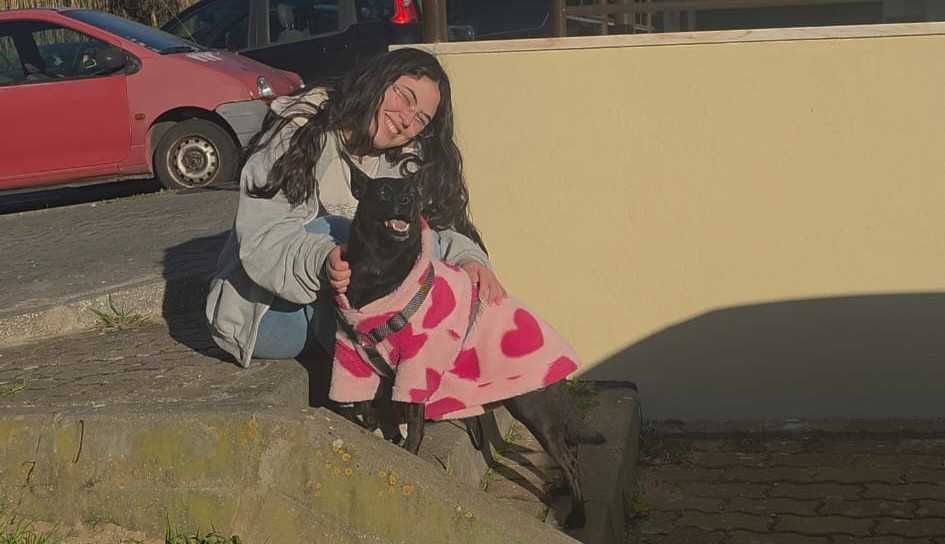 Pet Sitting/Walking; Creche e Estadia Familiar para cães e gatos