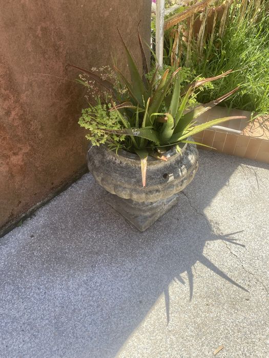 Vasos de pedra e de varios formatos e tamanhos