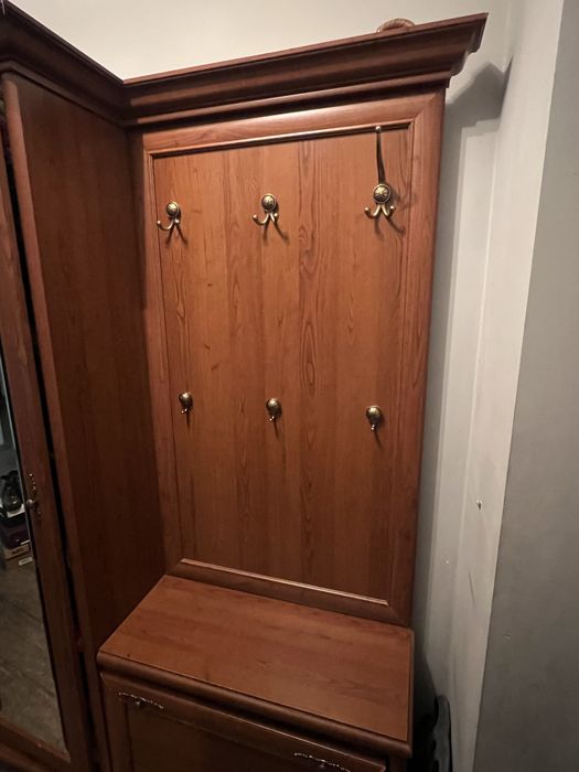 Прихожа, вішалка, передпокій, шафа в коридор