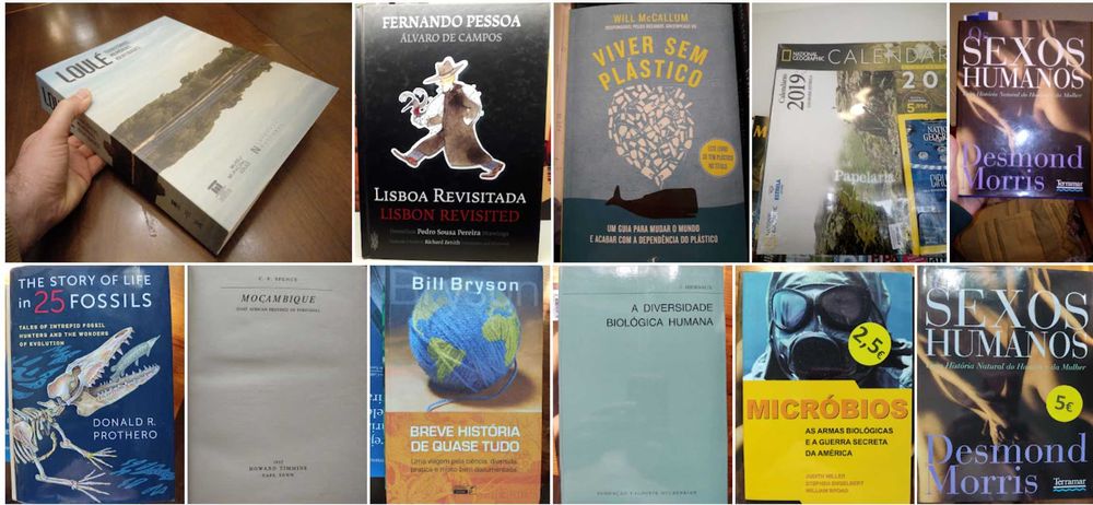 Livros vários (história, pré-história, paleontologia, técnicos)