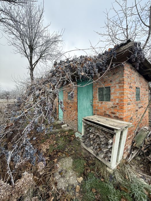 Продаж Дачі в Березанці!!!  5 соток землі