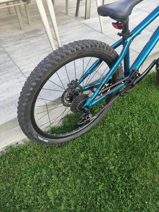 Kellys Whip 50(dirt)
