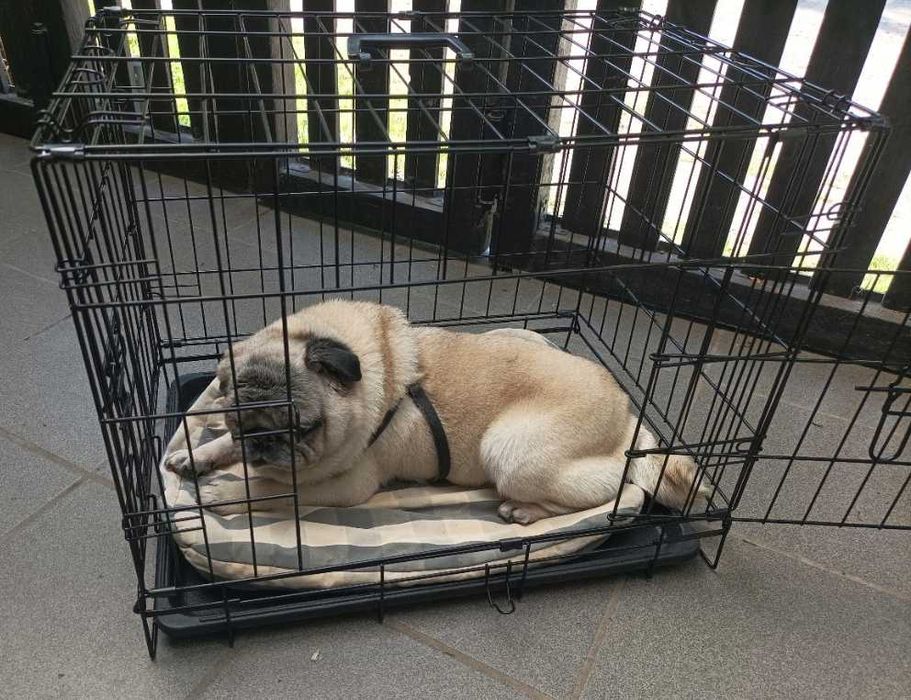 Klatka kennelowa NOWA dla psa kota rozmiar M 60cm kojec transporter