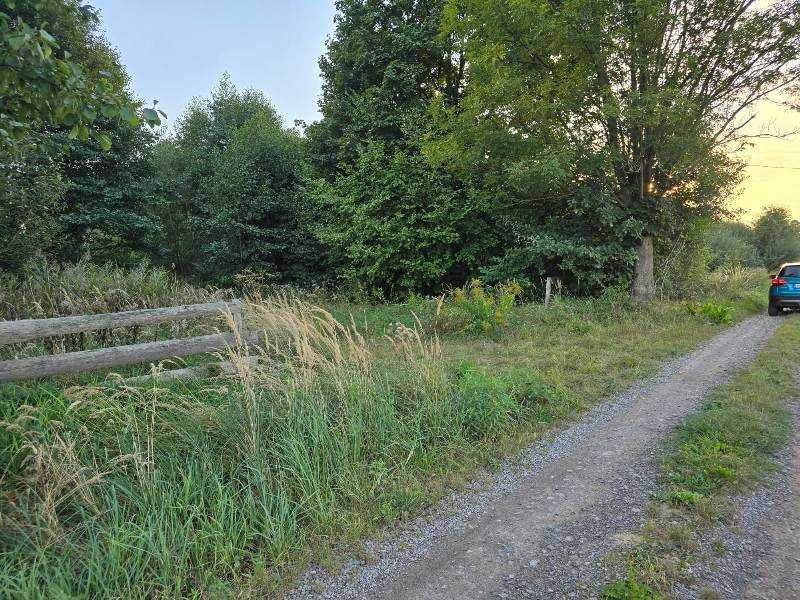 Syndyk sprzeda działkę rekreacyjną w Kolonii Seredzice - Widok 5