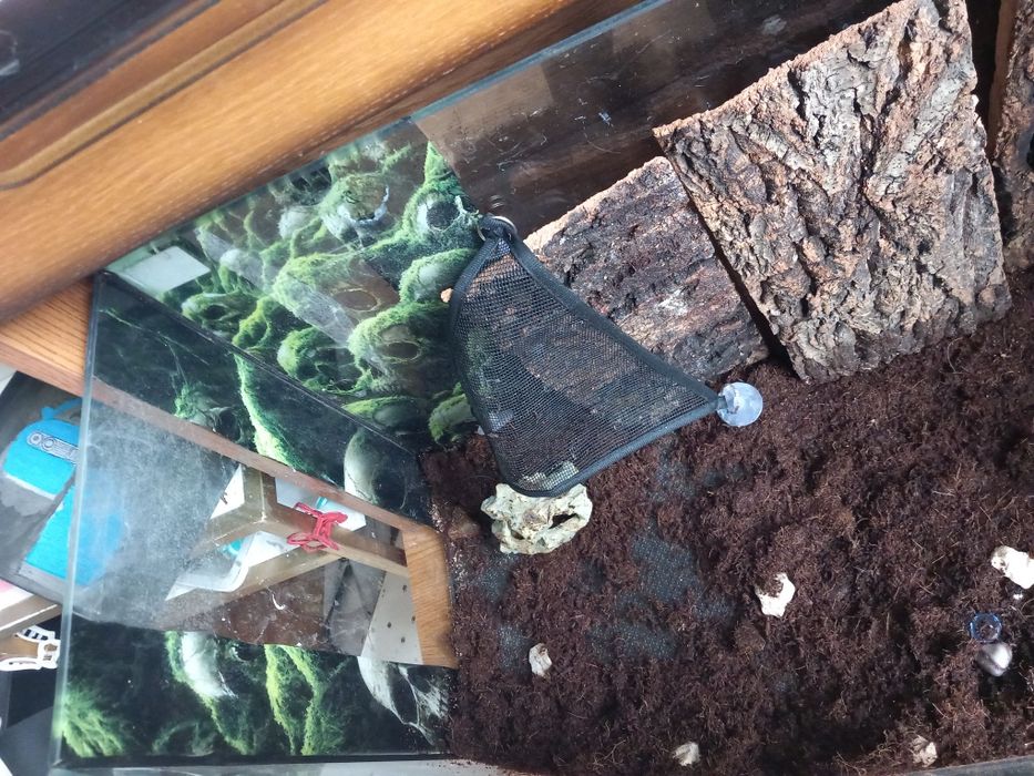 Terrarium duże z wyposażeniem lub akwarium