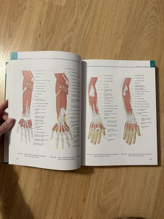 Atlas de Anatomia