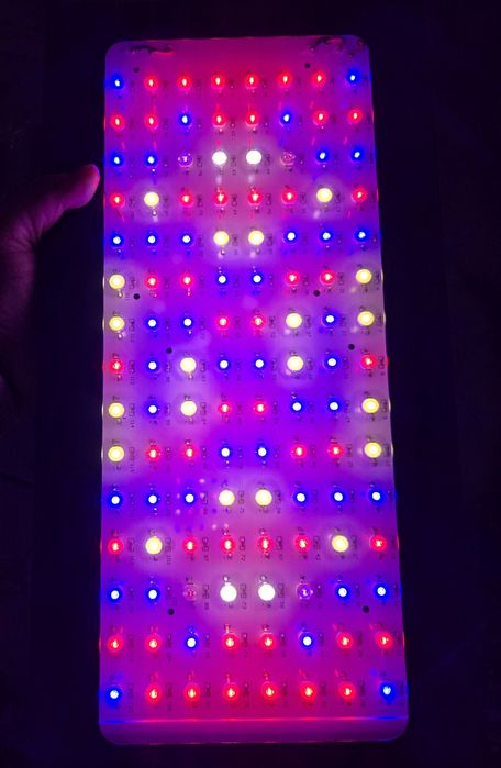 Lampa do uprawy roślin