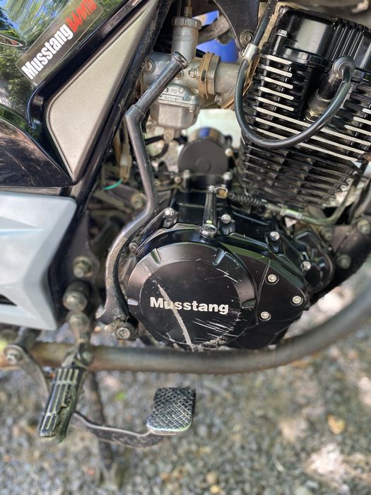 Продам Musstang 200