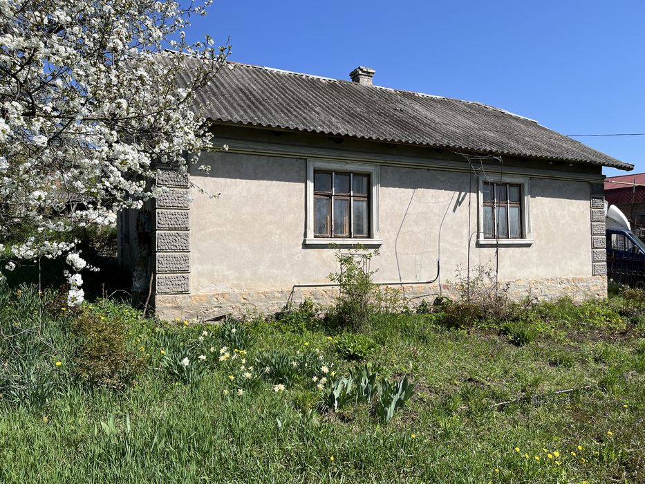 Будинок з земельною ділянкою 12.3 сотих с.Петриків