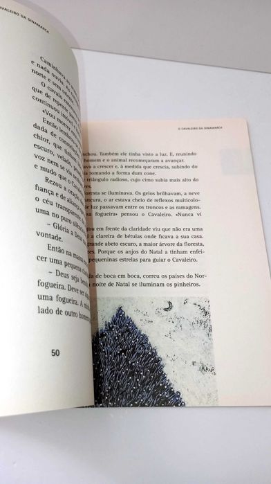 O Cavaleiro da Dinamarca