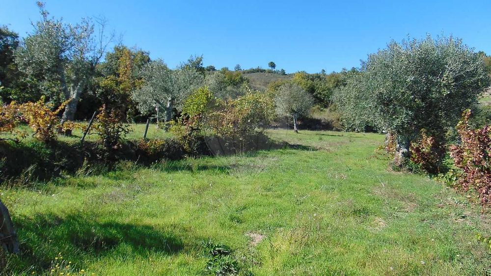Venda: Quinta em Celorico da Beira/ Vila Boa Do Mondego