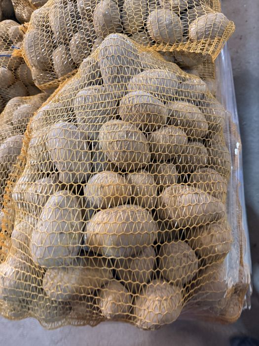 Ziemiaki jadalne soraya