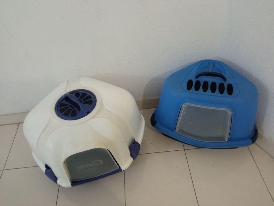 WC de canto. para   gatinhos