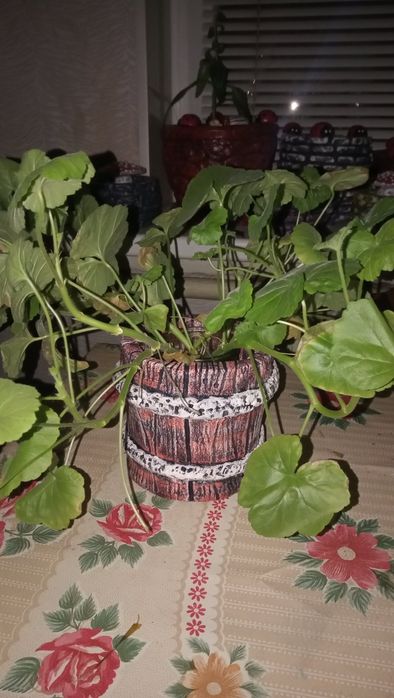Горшки для цветов