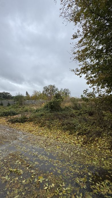 Продам участок 10 соток Бородянка Жилая улица с Газом.