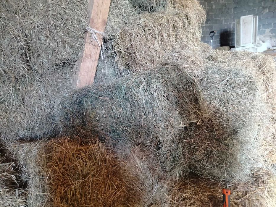 Kostki siana, suche, pachnące