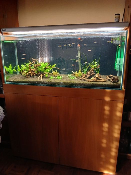 Aquário completo+oferta